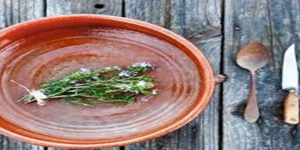 Eixarcolant (Jornada Gastronómica de las Plantas Olvidadas)