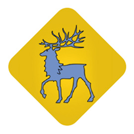 Escut