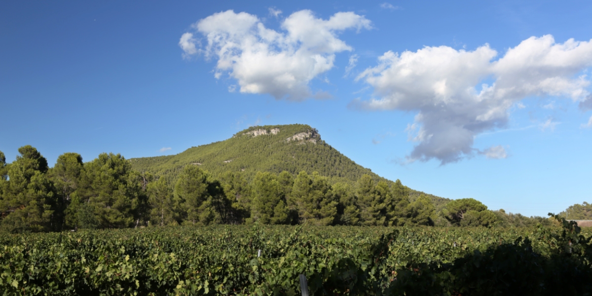 El Puig Aguilera, la talaia de la Conca