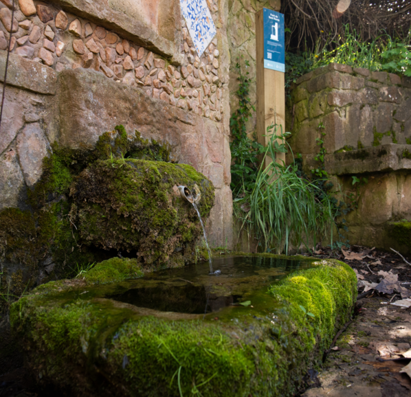 Fonts de l’Anoia