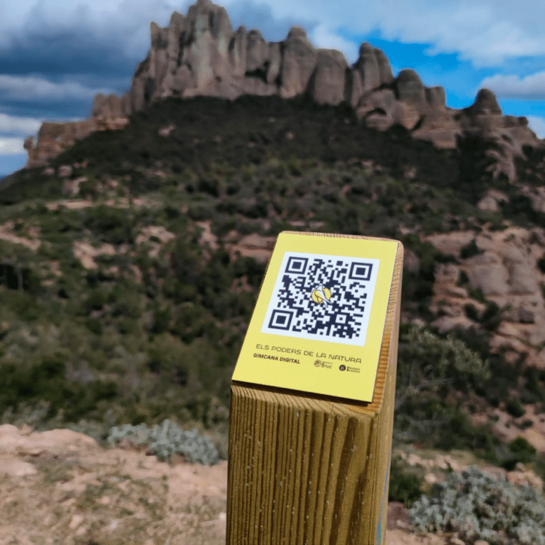 Gimcana a la Regió d’Agulles del Parc Natural de la Muntanya de Montserrat