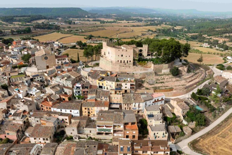 Tous medieval
