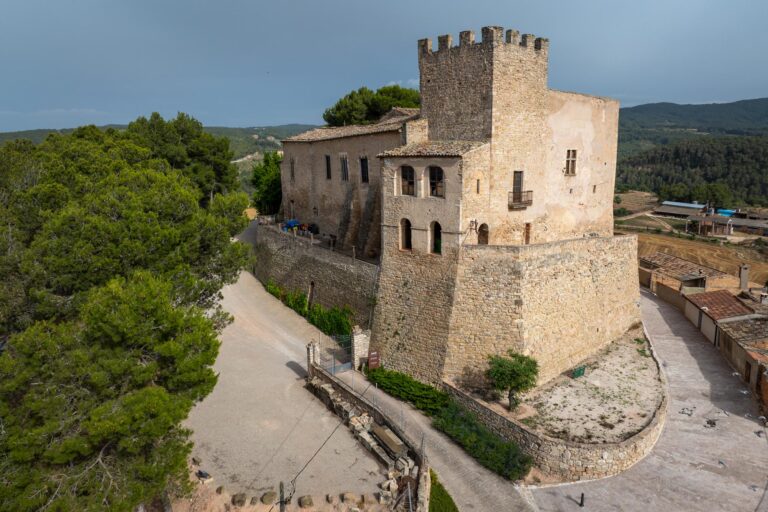 Castell de Tous