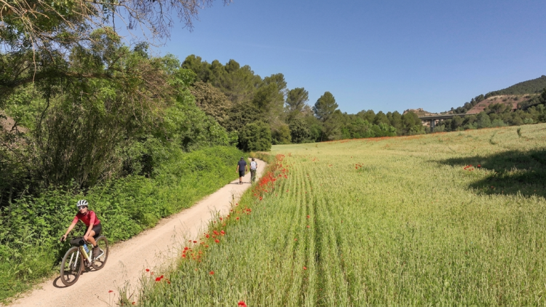 Via Blava de l’Anoia