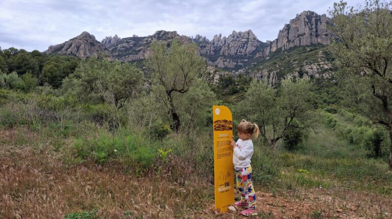 El camí de l’Oli del Bruc