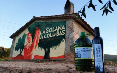Visita i tast d’oli entre oliveres regeneratives 