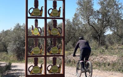 L’Anoia també és terra d’oli: cinc maneres de descobrir-la 