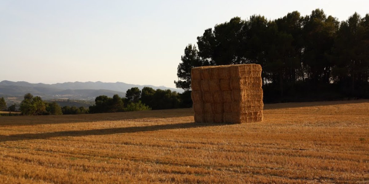 El olor del verano