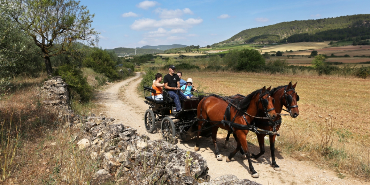 Passejades amb carruatge