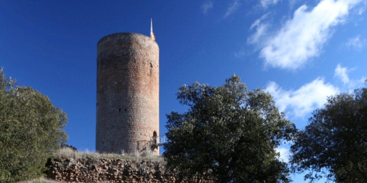 Castell o Torre de la Manresana