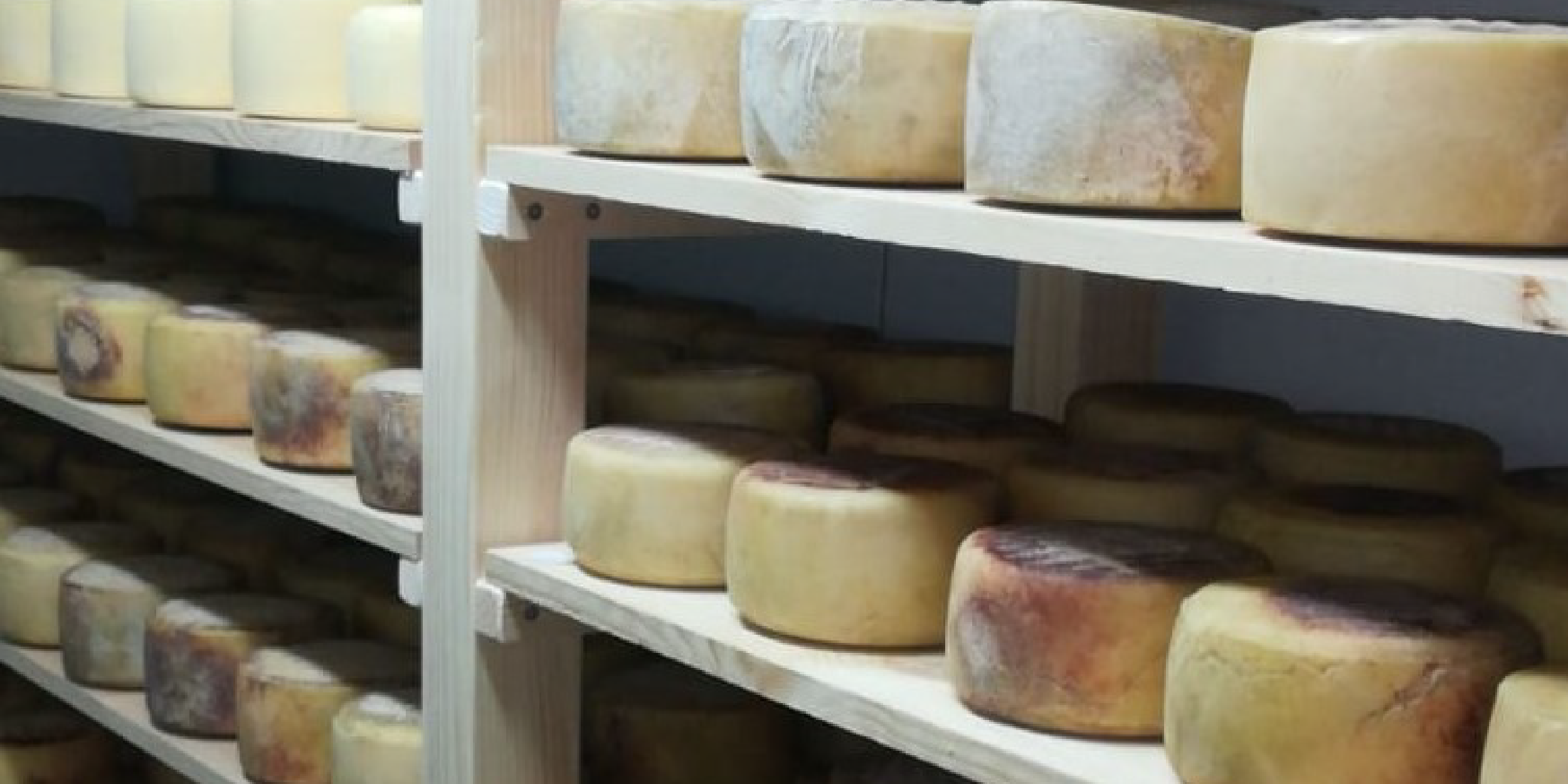Formatgeria Ancosa, formatges de qualitat i proximitat