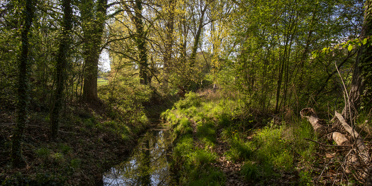 A la tardor, natura i sabors a l’Anoia
