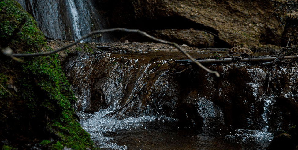 Tasta Cabrera i Cursa dels Salts d’Aigua