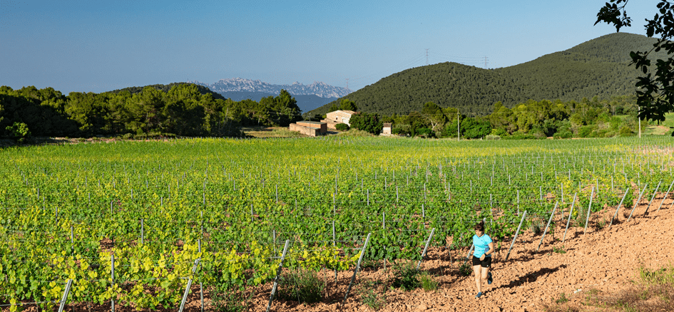 L’Anoia també és terra de vins: propostes per viure l’enoturisme aquest final d’estiu