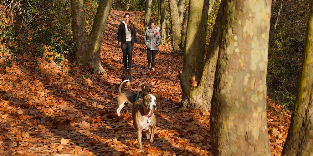 Escapa’t a l’Anoia a la natura