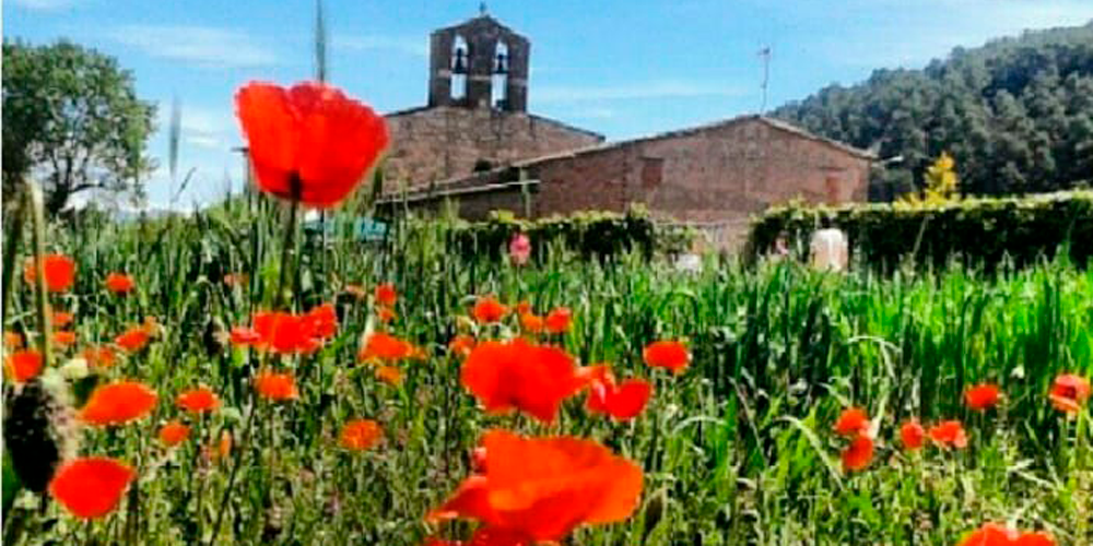 Fira de les Bresques de Santa Càndia (Orpí)