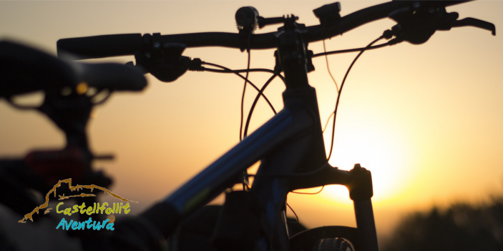Juego de pruebas en BTT