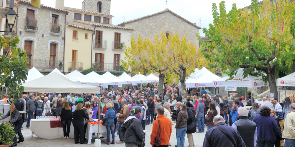 Muestra de embutidos y vinos de altura