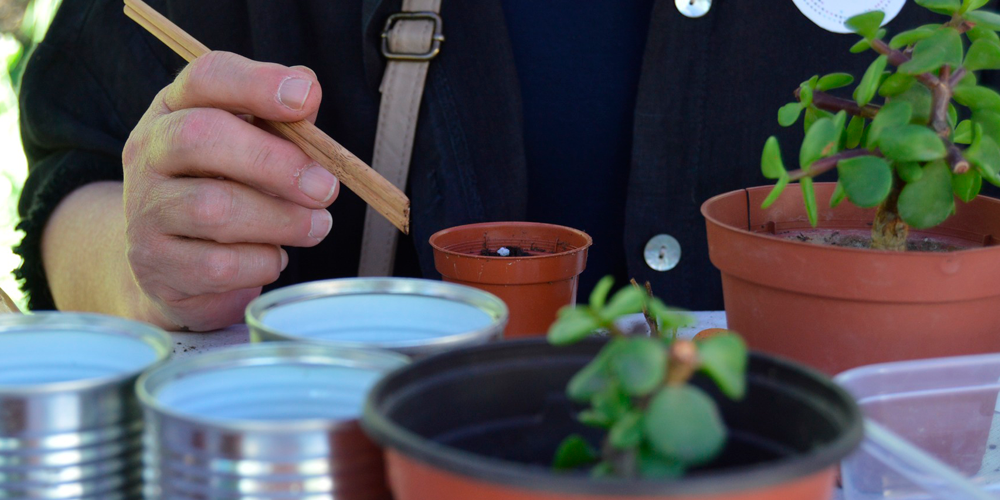 “La Margarida”, Fira Sostenible de Montbui