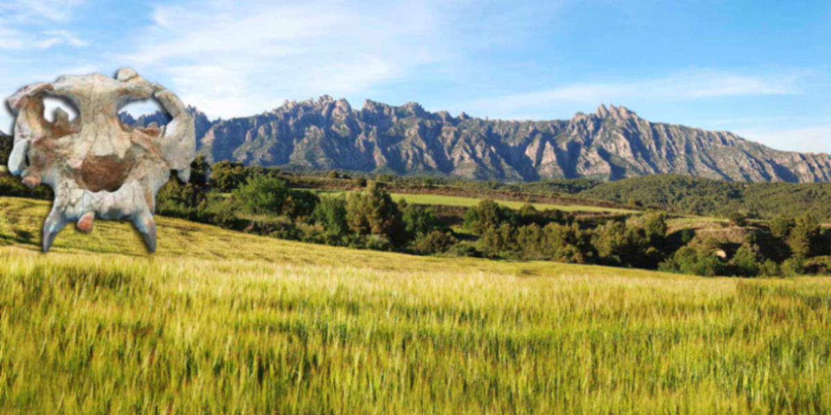 Paleontological Restoration and Interpretation Center – CRIP