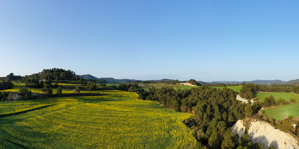 Caminada i Bicicletada popular a la Via Blava Anoia